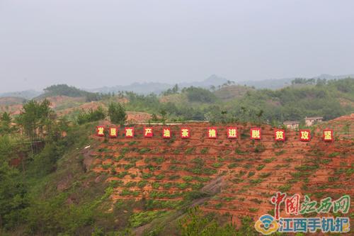 被列为被告的杨炎霖回想当时情形说"水一下子就进来了,他依平时