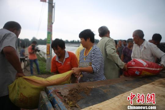 河北衡水多条河道面临行洪 村民负伤上堤(图)