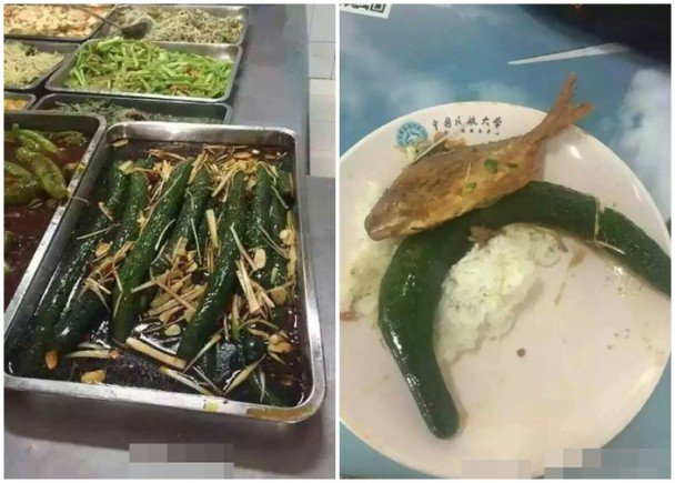 天津高校饭堂再现奇葩菜 整条黄瓜炒大葱(高清图)