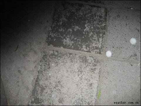 北京今晨出现今冬第一场雪 雪量不大(图)