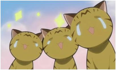 小伙性趣挺浓,可智商堪忧啊_新闻_腾讯网