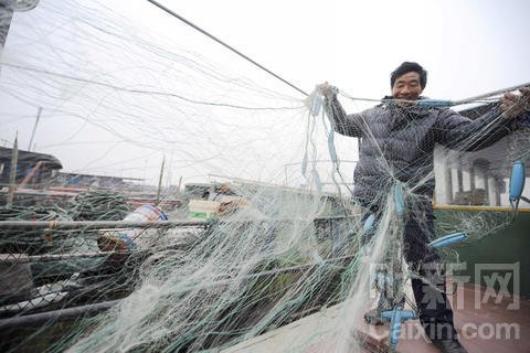 刀鱼消失 长江环境和不科学捕捞应是主因
