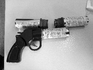 男子包里揣灭火枪弹赴法院旁听被查处(图)