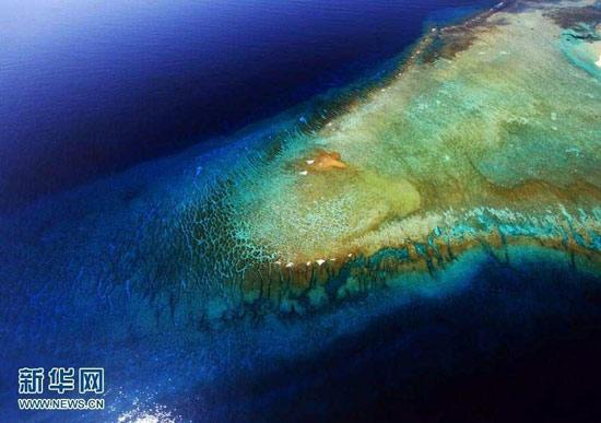 图为西沙礁盘上的水下“鲸鱼脊背”。