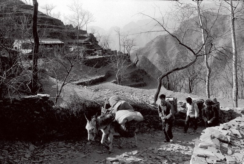 1965年,“背篓商店”的职工赶着毛驴、背着货物送货上门。“背篓商店”是北京市原房山县(今房山区)周口店供销合作社的一个分销点。因地处山区,交通不便,黄山店公社的居民买东西很不方便,而这个分销社是黄山店公社范围内唯一的一家分销点。针对这种情况,分销社的负责人王砚香想出了用背篓送货上门的办法,带领职工常年背着背篓上山卖货,同时也收购一些农产品,被群众们亲切地称为“背篓商店”。 1965年,“背篓商店”的职工赶着毛驴、背着货物送货上门。“背篓商店”是北京市原房山县(今房山区)周口店供销合作社的一个分销点。因地处山区,交通不便,黄山店公社的居民买东西很不方便,而这个分销社是黄山店公社范围内唯一的一家分销点。针对这种情况,分销社的负责人王砚香想出了用背篓送货上门的办法,带领职工常年背着背篓上山卖货,同时也收购一些农产品,被群众们亲切地称为“背篓商店”。