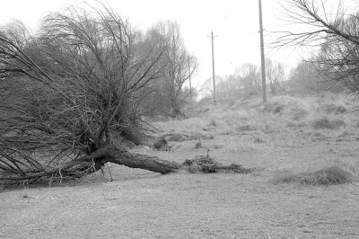 宁夏西夏水库投资2亿建成3年后仍无法使用