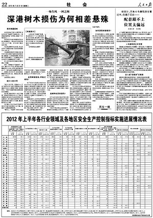 深圳城管局回应台风致树受损 称与香港无可比性