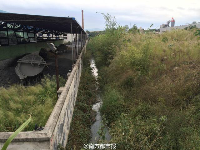 广东越狱逃犯藏身地曝光:监狱旁臭水沟草丛中