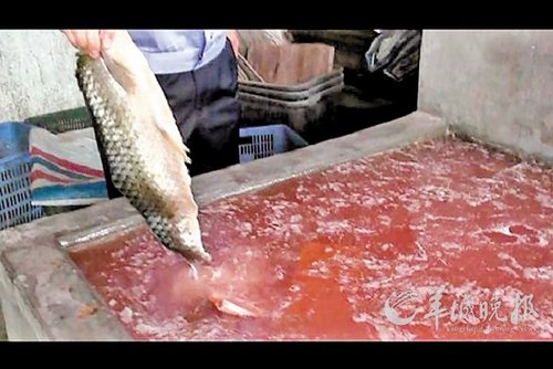 广东1黑作坊工业盐腌制毒鱼干 一年卖掉4万斤