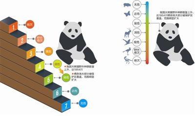 大熊猫有望脱离“濒危” 保护力度不会减小