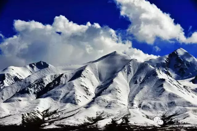 战士走下昆仑山 终于花掉了五十块钱