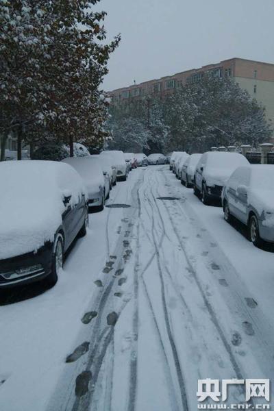 天津发布暴雪蓝色预警信号 降雪量达5到10毫米