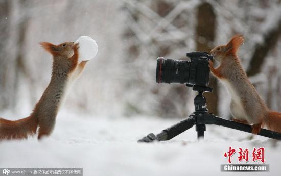 10大最难读英语单词出炉 德国人不会念松鼠