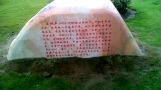 隆重纪念中原突围70周年--大悟宣化