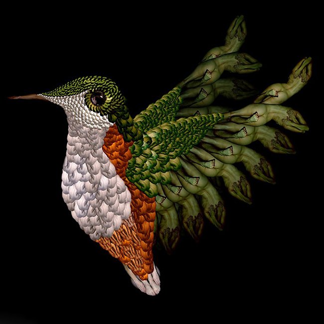 文章配图