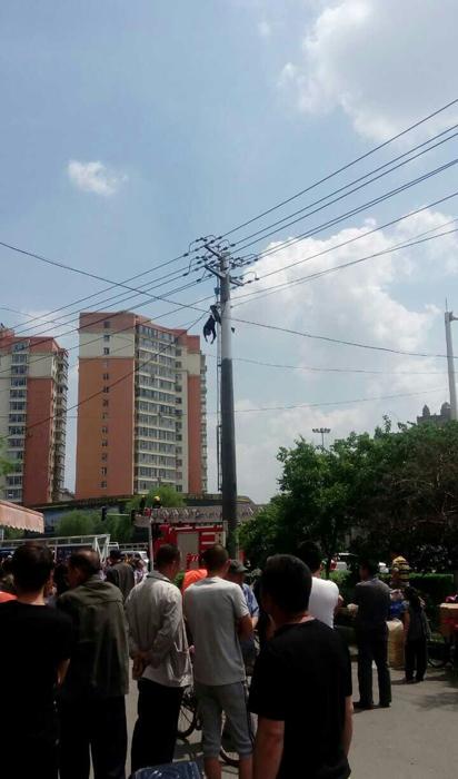 吉林一油漆工作业时遭电击身亡 倒挂电线杆