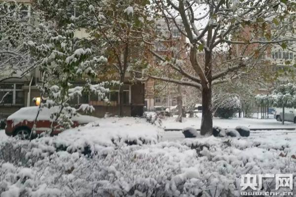 天津发布暴雪蓝色预警信号 降雪量达5到10毫米