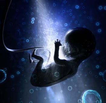 揭秘子宫内胎儿性别形成的过程