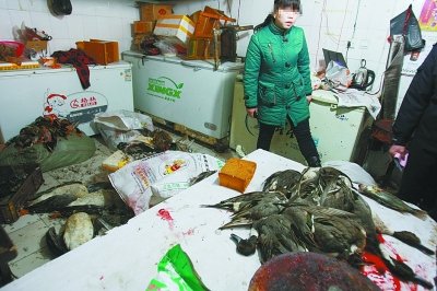 武汉部分市场内市场野味交易触目惊心(组图)