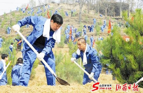 西山煤电集团义务植树(图)