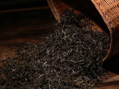 普洱茶的功效与作用新发现 夏季可以抗辐射