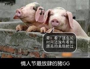 女要嫁对郎是多么重要！