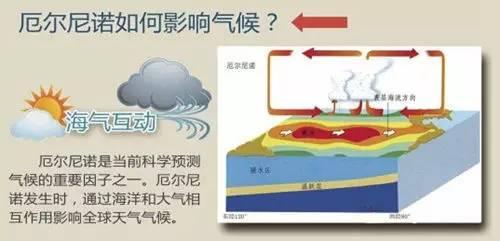 上海防汛隐患整改清单：含20余条积水道路