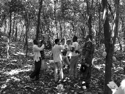 10月31日，当地警察和官兵，在可可树林里调查取证。