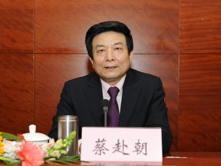 蔡赴朝 资料图