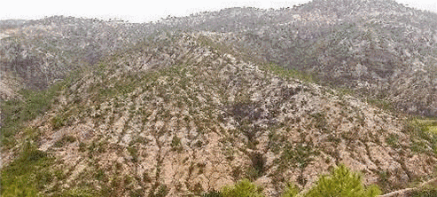 习近平:不要“要钱不要命”的发展_新闻_腾讯网