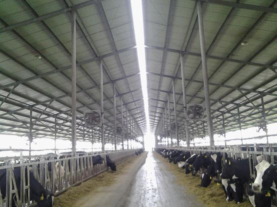 伊利牧场:防暑降温“一个都不能少”_新闻_腾讯网