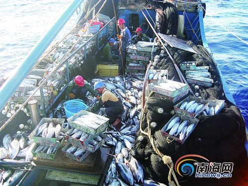 三沙市将促进海南渔业产业 每年可增产值41亿