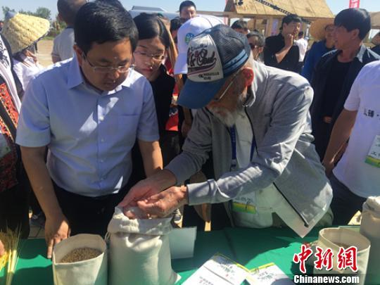 日本“煮饭仙人”东北寻得好米 发愿余生留中国