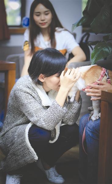 重病女孩跨越千里为爱犬寻新主人 只提一个要求