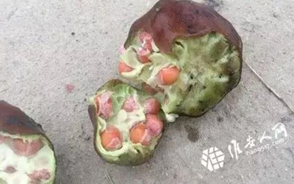 ������ǧ��Ķ�߼������쳣���� �ٷ���ԭ���Ѳ�