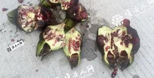 ������ǧ��Ķ�߼������쳣���� �ٷ���ԭ���Ѳ�