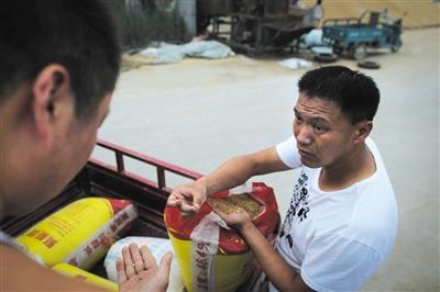 粮食经纪人收千万斤小麦无法入库 陷丰收的粮灾