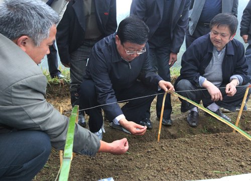 贵州省长赵克志赴丹寨雅灰乡四帮四促调研纪实