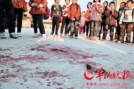 去年12 月30 日中午， 广东饶平县饶洋镇一小山村发生一起持刀伤人案： 一名高三年级的20 岁男生用菜刀将同村的8 名村民砍伤，随后被村民制服，因涉嫌故意伤害罪已被警方刑事拘留。记者昨日赴现场调查了解到，该男生疑因长年缺失家庭温暖滋生厌世情绪，继而萌发行凶伤人的邪念。有关部门正对案件作进一步调查。