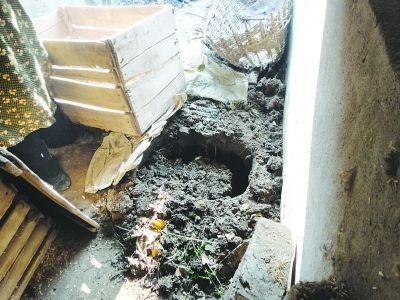 男子杀人后自挖地窖藏身12年 母亲每天送饭