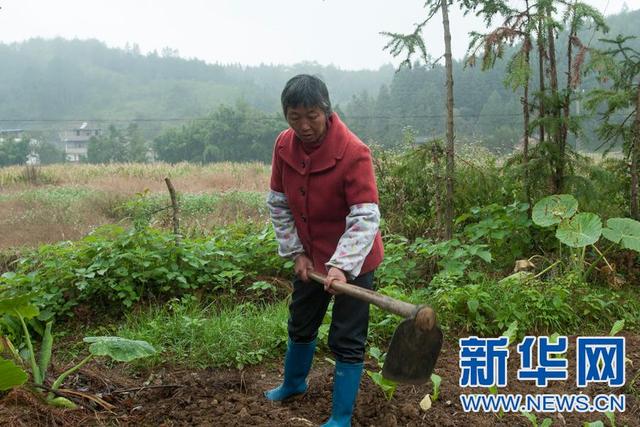 江西一农妇坚持半生做两件事 熬白青丝感动世人