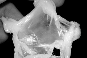 ����Ӫ�����߸ɺ�������� ����ʵ��8������Ʒ