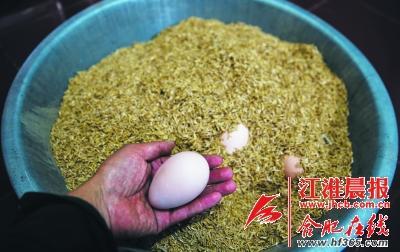 七旬老人小区搭院养16只孔雀 邻居抱怨叫声扰