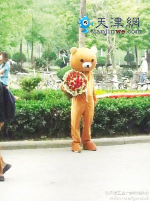男生为给女友道歉校园扮“熊” 被赞好有爱(图)