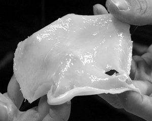 ����Ӫ�����߸ɺ�������� ����ʵ��8������Ʒ