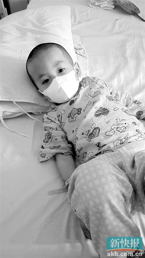 男童患血癌7次移植手术失败 父母耗尽50万家财