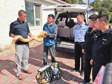 ���˻����ϻ����ƽ��������� ���ٷ��ս�