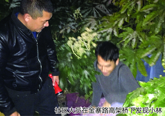 本科毕业生住桥洞2年 自称一事无成没脸见家人