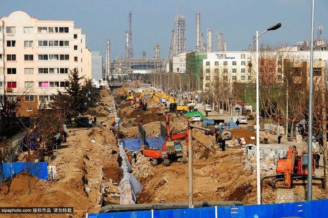 青岛爆炸事故一月:海洋污染显现鱼虾大量死亡