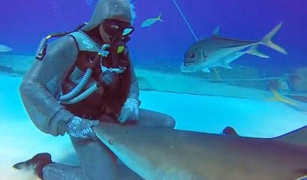 意大利女潜水员怀抱1.8米长鲨鱼 哄其"入眠"